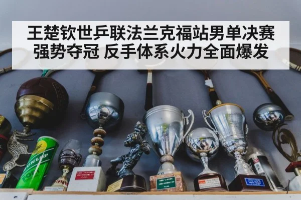 王楚钦世乒联法兰克福站男单决赛强势夺冠 反手体系火力全面爆发