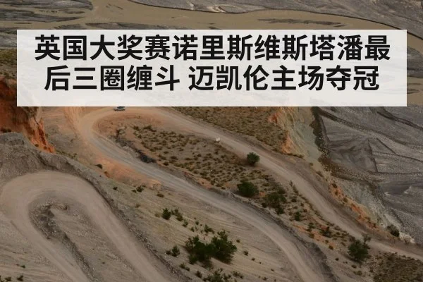 英国大奖赛诺里斯维斯塔潘最后三圈缠斗 迈凯伦主场夺冠